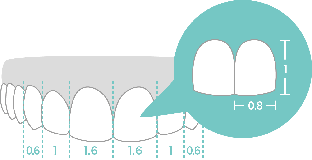 セントラルドミナンス
